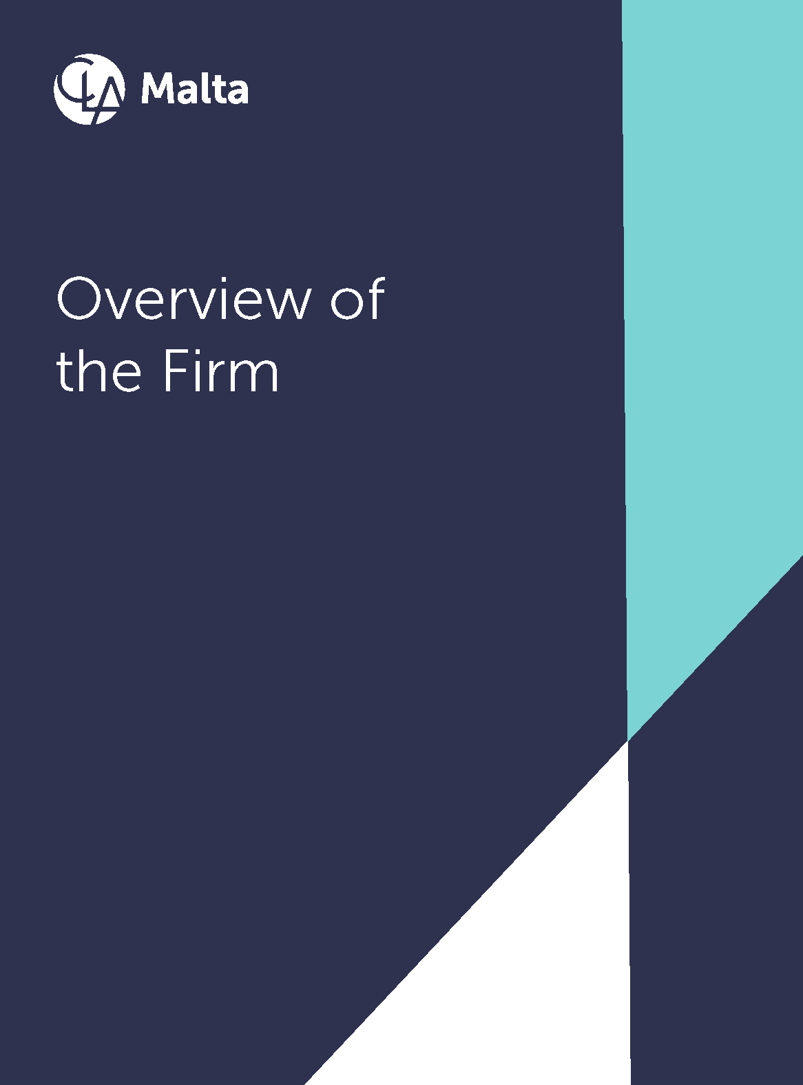 Overview of the Firm